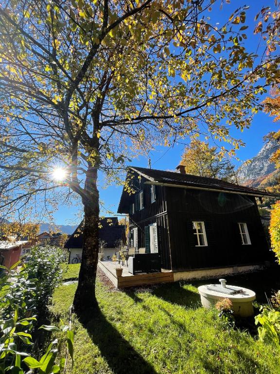 Zahrada ubytování Ferienhaus s Manz