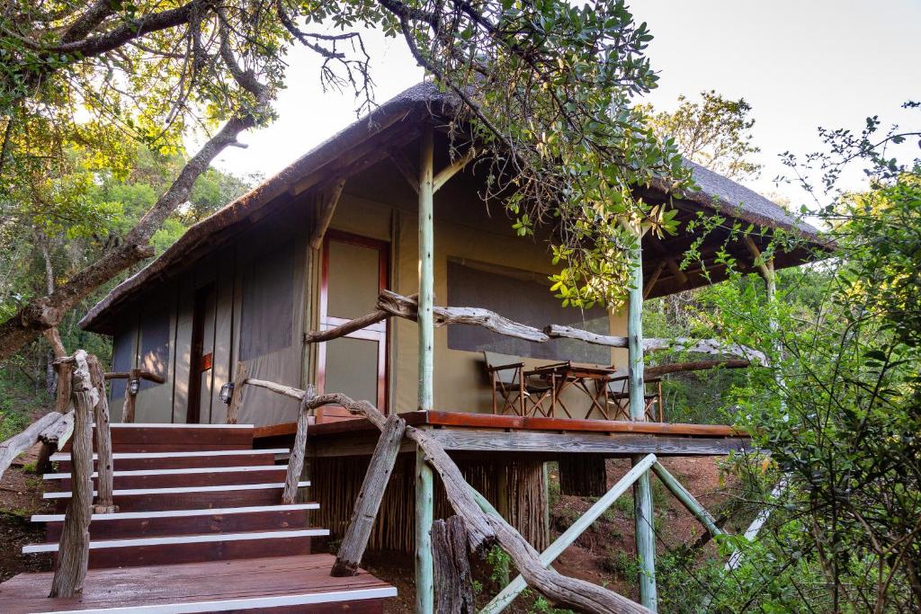 a small cabin in the woods with a porch at Lalibela Game Reserve Tree Tops Safari Lodge in Paterson