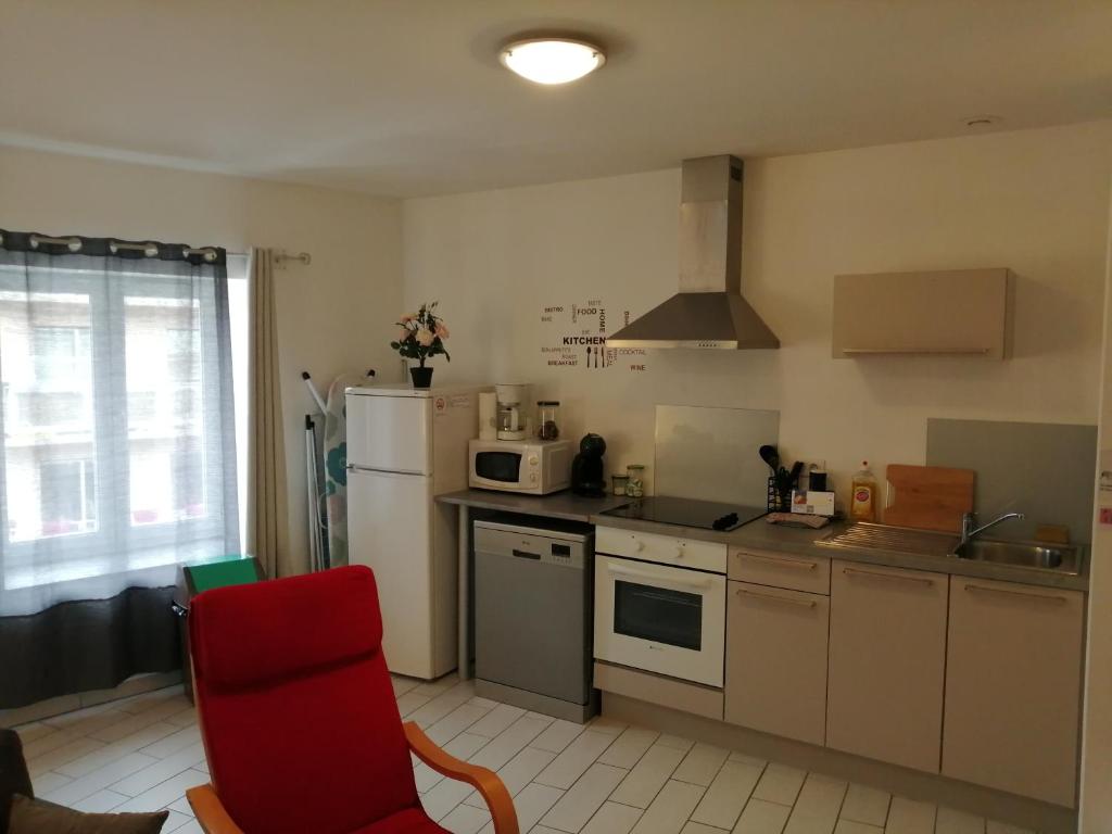Kuchyň nebo kuchyňský kout v ubytování Appart'Hôtel Lagnieu