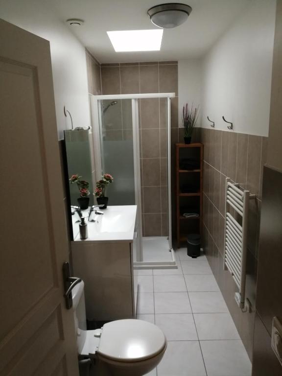 Koupelna v ubytování Appart'Hôtel Lagnieu