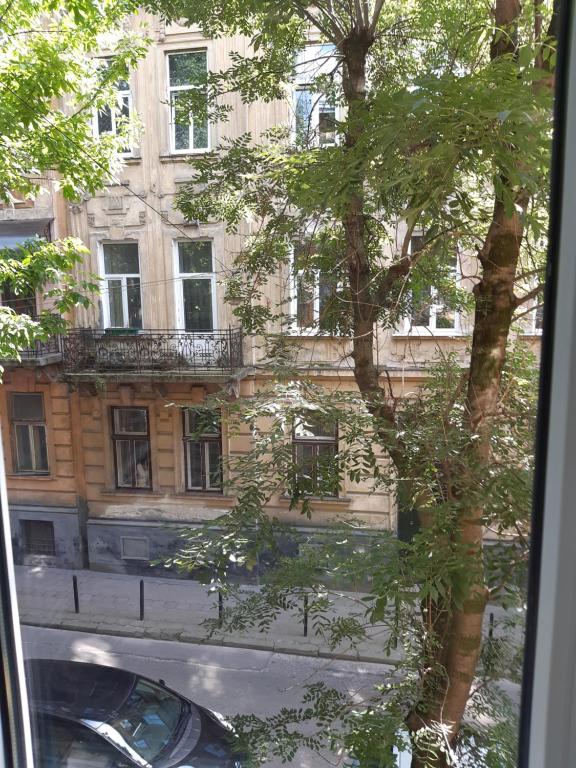 Уютная квартира - Housity