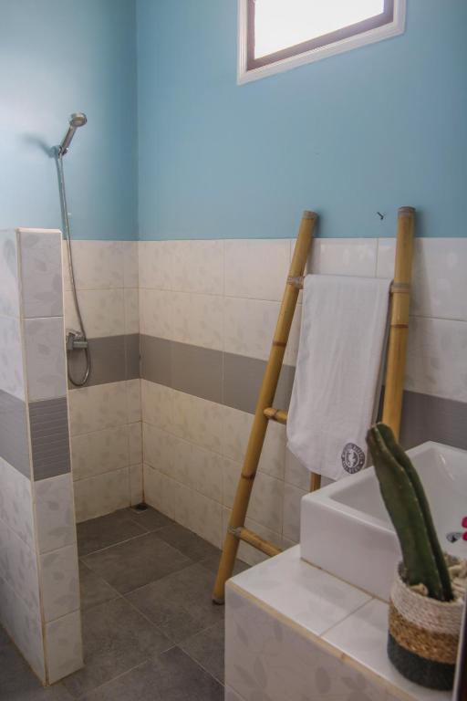 Divine Divers Gili Meno - 12