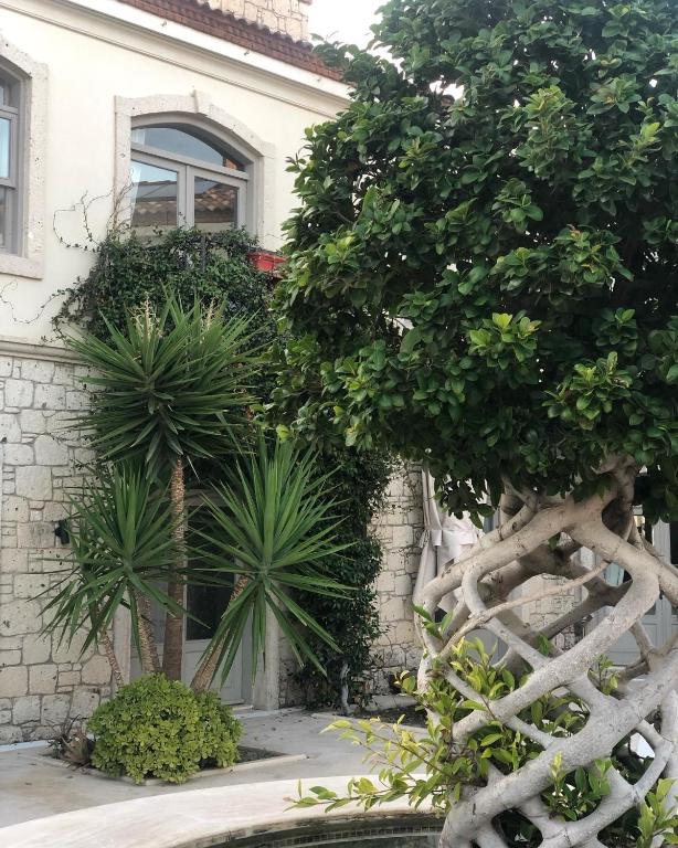 A garden outside Triangulo Hotel