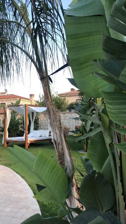 A garden outside Triangulo Hotel