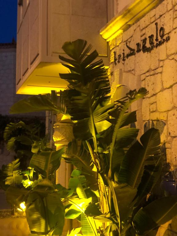 A garden outside Triangulo Hotel