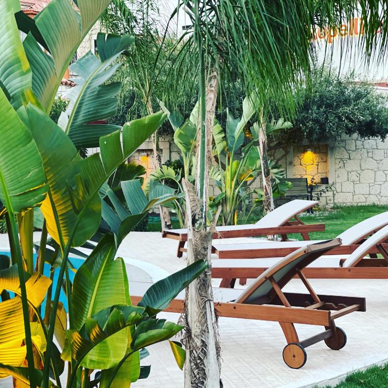 A garden outside Triangulo Hotel