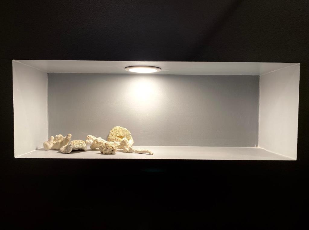 CoolKush Boutique - Resim 26