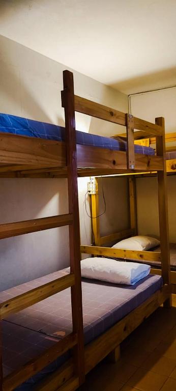 Letto o letti a castello in una camera di Mapping Hostel