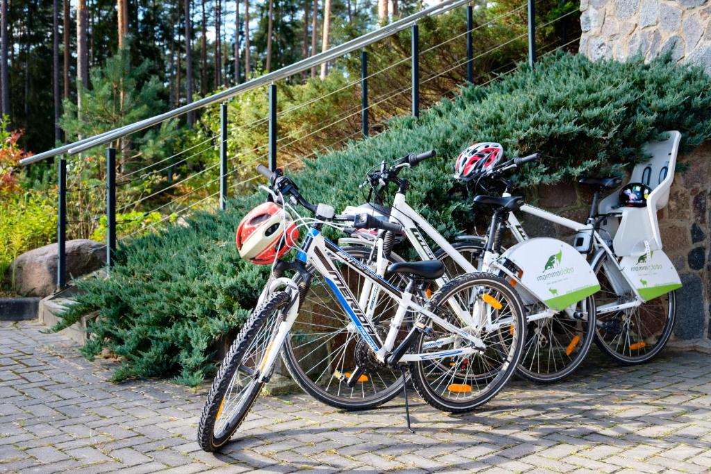 在LVM tūrisma un atpūtas centrs "Spāre"内部或周边骑自行车