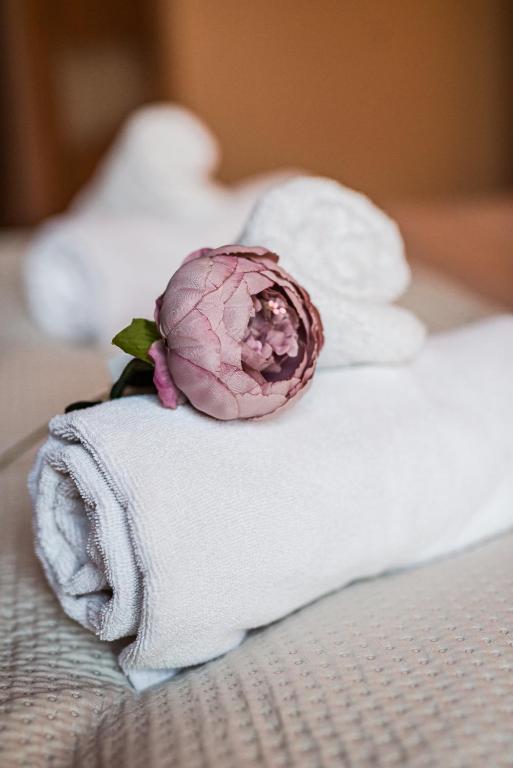 Hotel Dobre z Lasu - Appartement