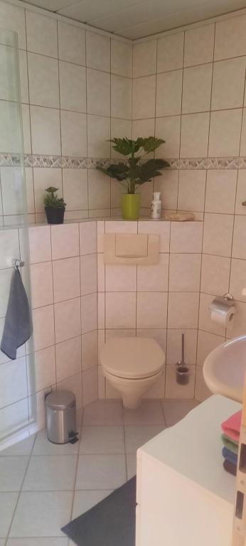 Koupelna v ubytování Bine's Home