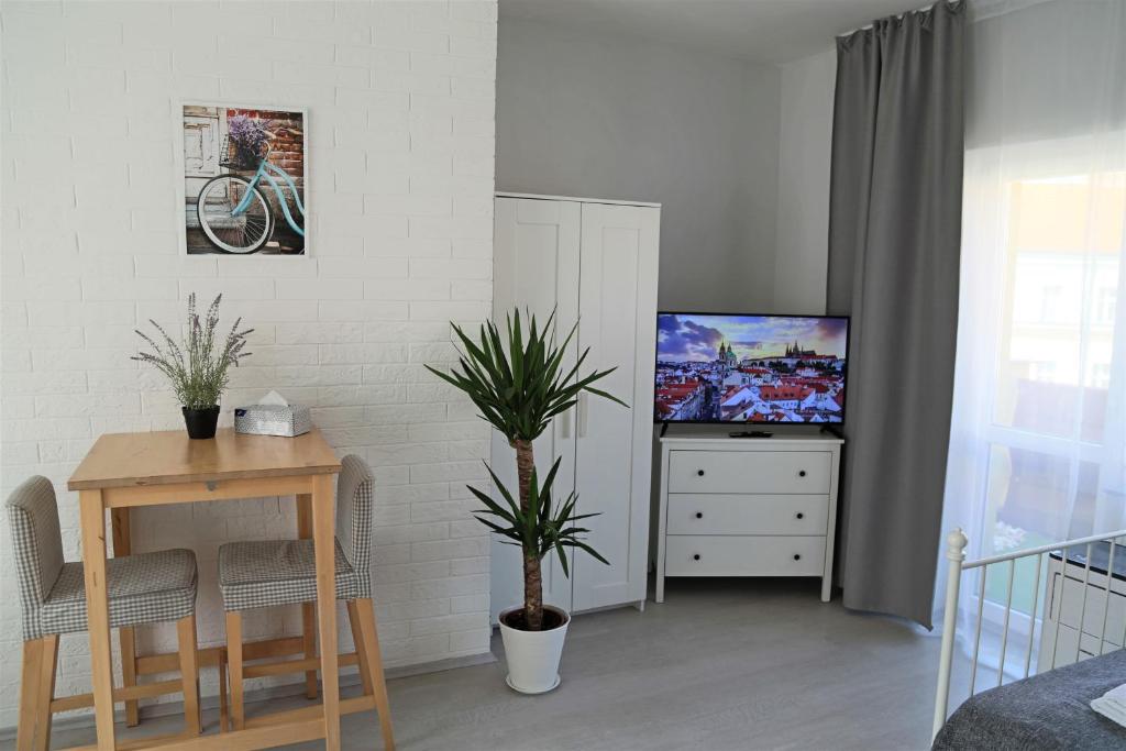 TV a/nebo společenská místnost v ubytování Charles Square Apartments