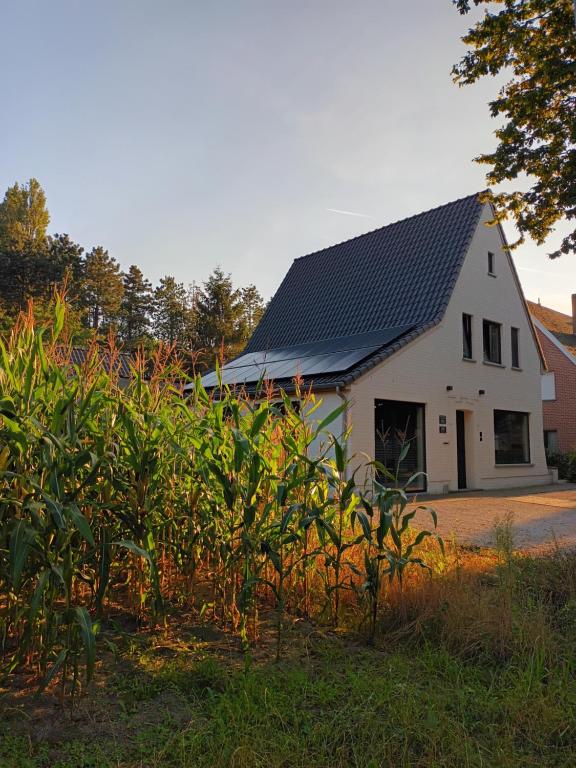 a small white house with a black roof at B&B Snelleghem in Snellegem