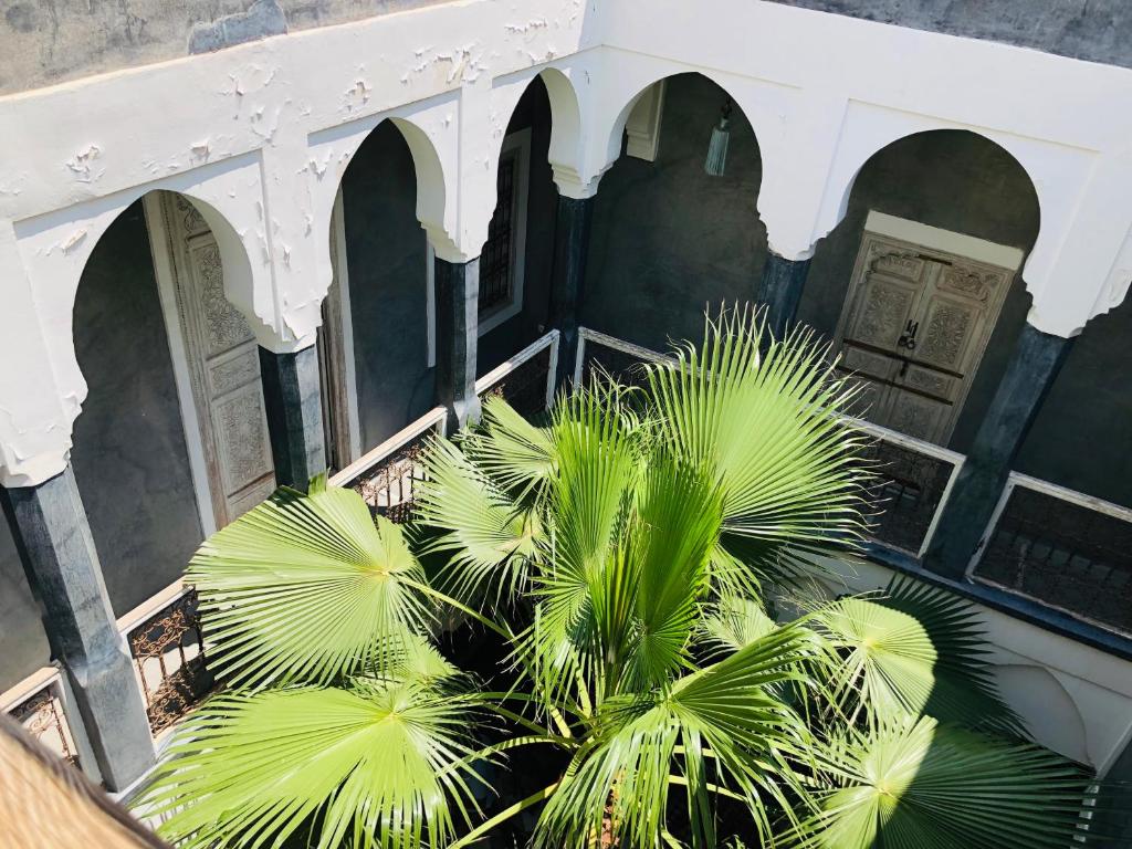 Fotografie z fotogalerie ubytování Riad Green Palm v Marrákéši