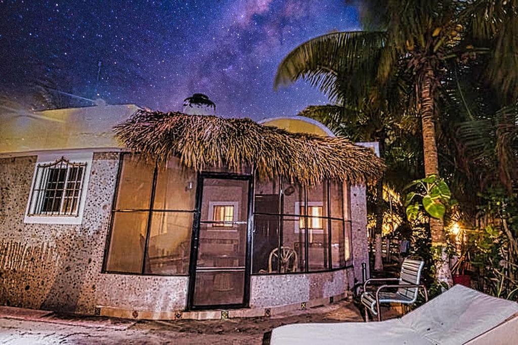 a house with a palm tree and a starry sky at Antigua Lodge, 70 m from sandy beach in El Cuyo