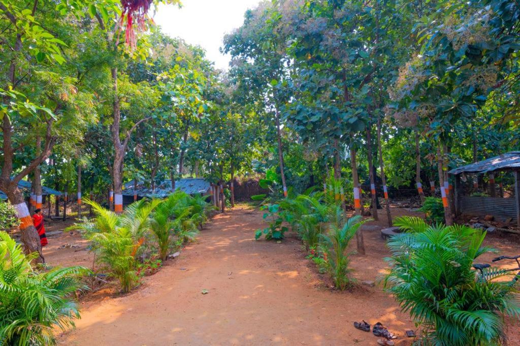 Zahrada ubytování Saptami Hampi Homestay