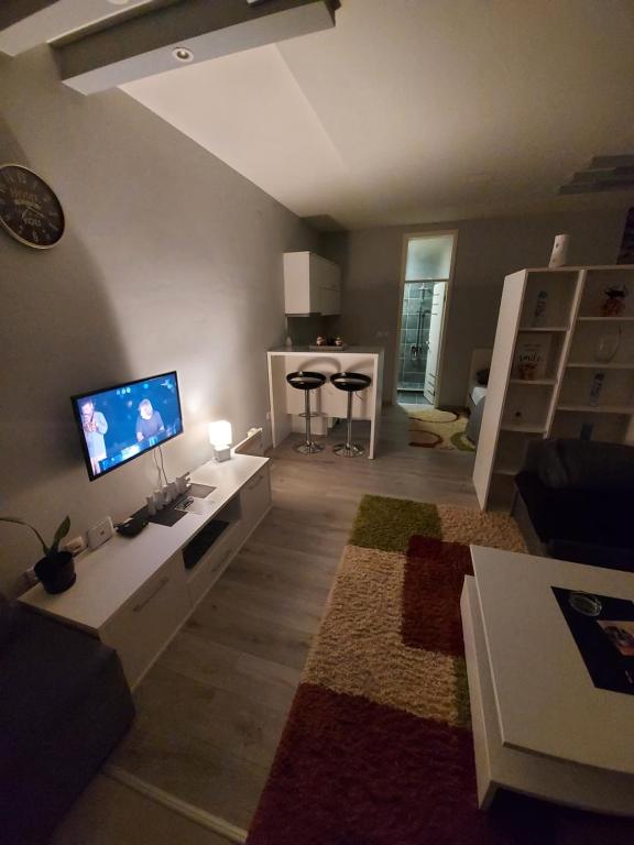 ein Wohnzimmer mit einem Sofa und einem TV in der Unterkunft Studio Apartman Nina - Pale in Pale