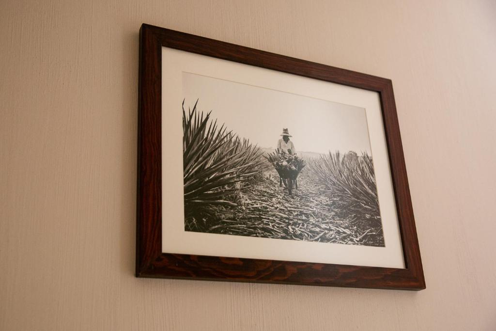 Fotografie z fotogalerie ubytování Comoda Casa Privada v destinaci Tequila