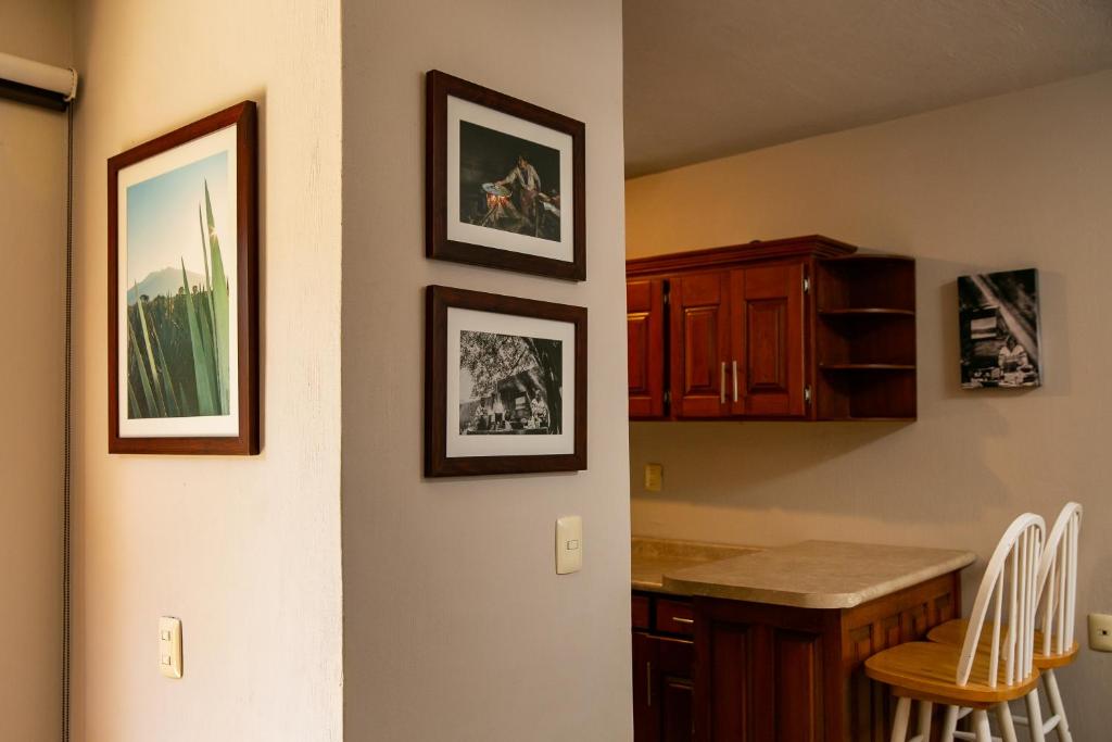 Fotografie z fotogalerie ubytování Comoda Casa Privada v destinaci Tequila