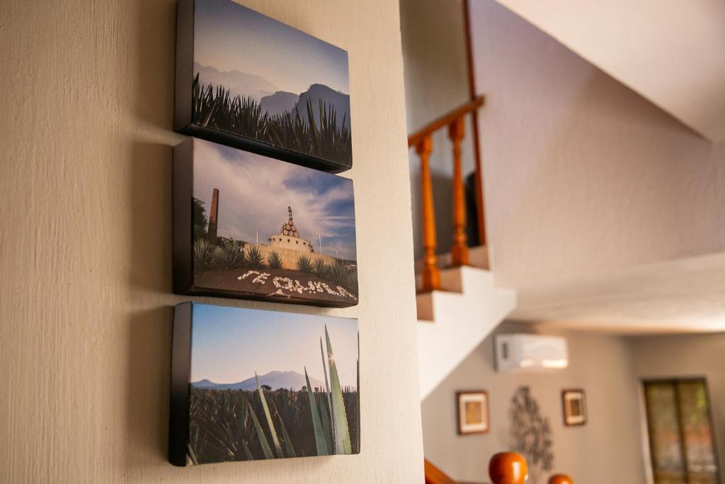 Fotografie z fotogalerie ubytování Comoda Casa Privada v destinaci Tequila