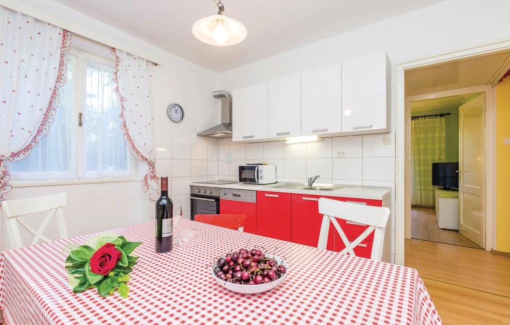 Kuchyň nebo kuchyňský kout v ubytování Apartman Marsanic