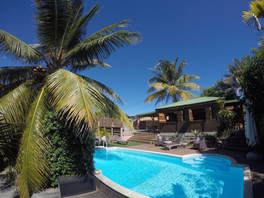 einen Pool mit einer Palme vor einem Haus in der Unterkunft RARE : Bungalow bois avec piscine privée , Gîte ti plaisir in Le Moule