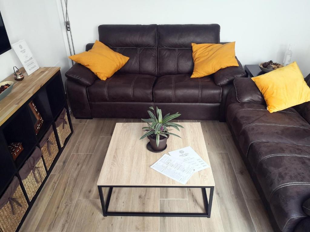 Entre patios y flores - 9