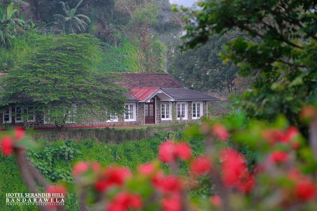 uma casa no meio de um campo com flores em Hotel Serendib Hill em Bandarawela
