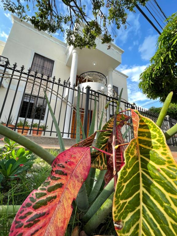 Zahrada ubytování Casa Blanca Increíble Casa Completa Valledupar