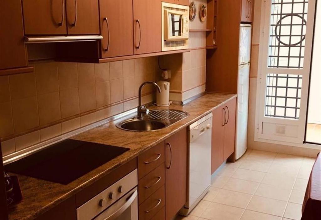kuchnia ze zlewem i blatem w obiekcie Lux Apartm Beauvivir w mieście Torre del Mar