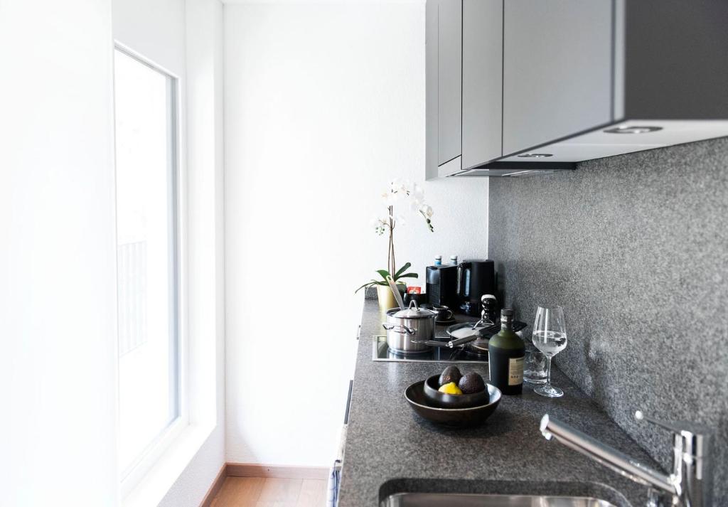 Kuchyň nebo kuchyňský kout v ubytování COSMOPOLITAN APARTMENTS Zürich Seefeld