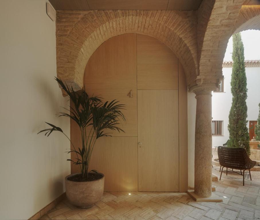 Fotografia z galérie ubytovania Apartamentos Los Patios del Pañuelo v destinácii Córdoba