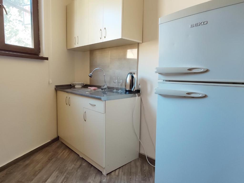 Kuchyň nebo kuchyňský kout v ubytování Guest House Gelit