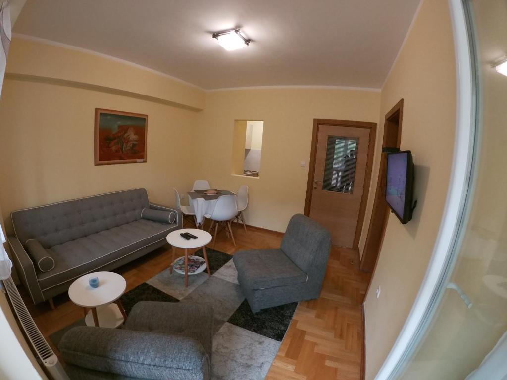 a living room with a couch and a table at Apartman Djole in Brzeće