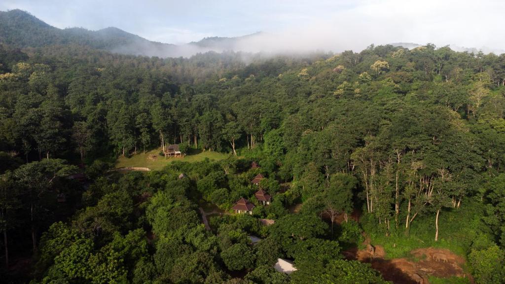 einen Luftblick auf einen üppigen grünen Wald in der Unterkunft Tawan Riverside in Mae Wang