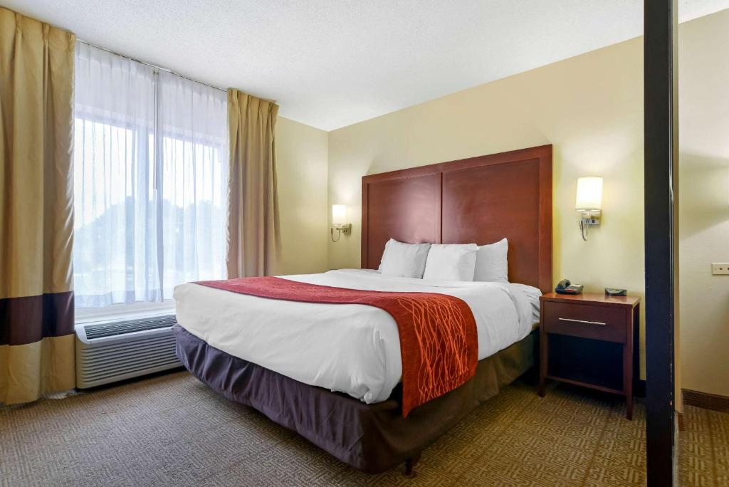 富尔顿戴尔Comfort Suites Fultondale I-65 near I-22的一间设有大床和窗户的酒店客房