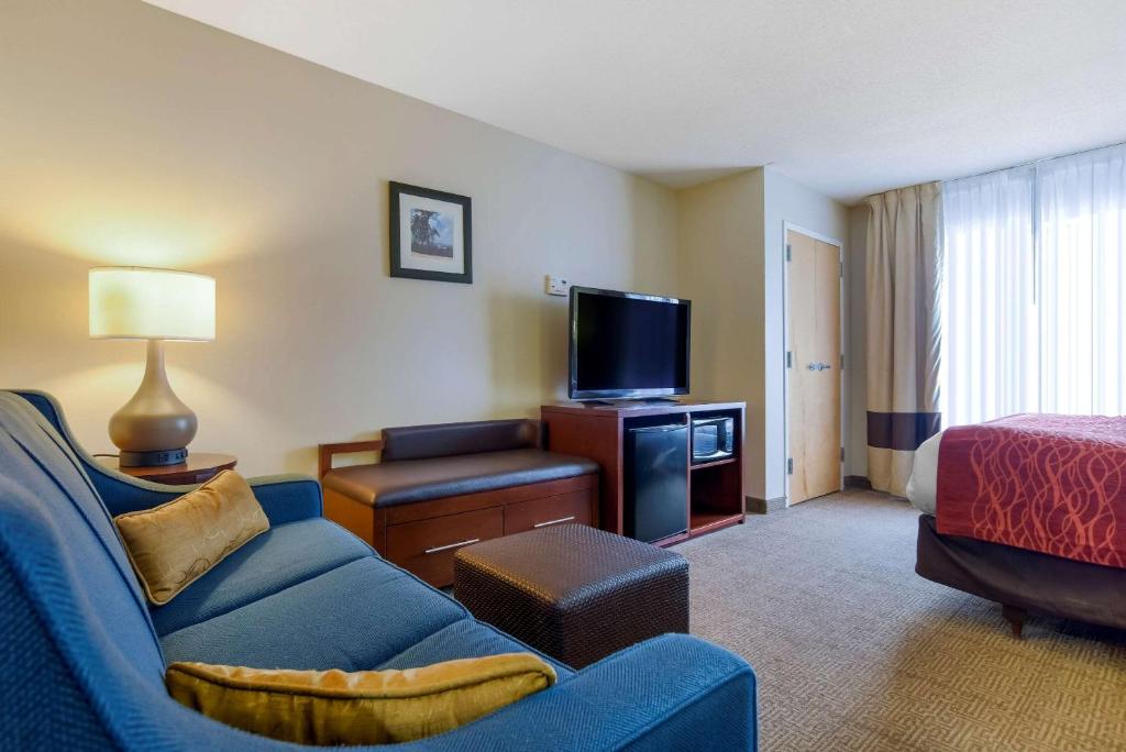 富尔顿戴尔Comfort Suites Fultondale I-65 near I-22的客厅配有蓝色的沙发和电视