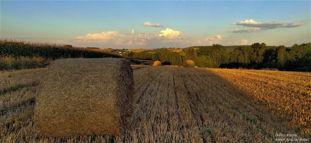 Príroda v okolí vily