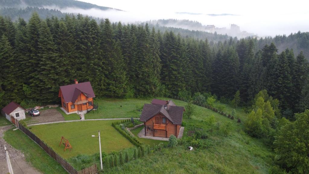 uma vista aérea de uma casa numa floresta em Sadyba Drymba em Skhidnitsa