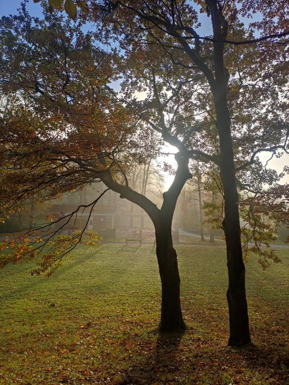 Fotografie z fotogalerie ubytování Apartmán Friedrichsruh v destinaci Mariánské Lázně