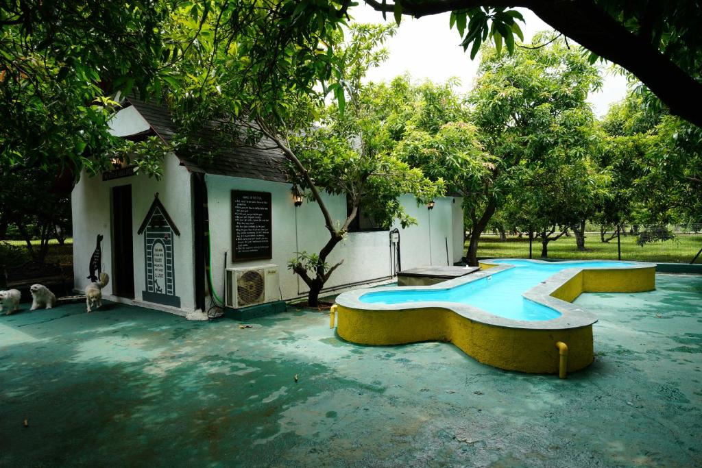 Anchaviyo Resort - Superior King Room
