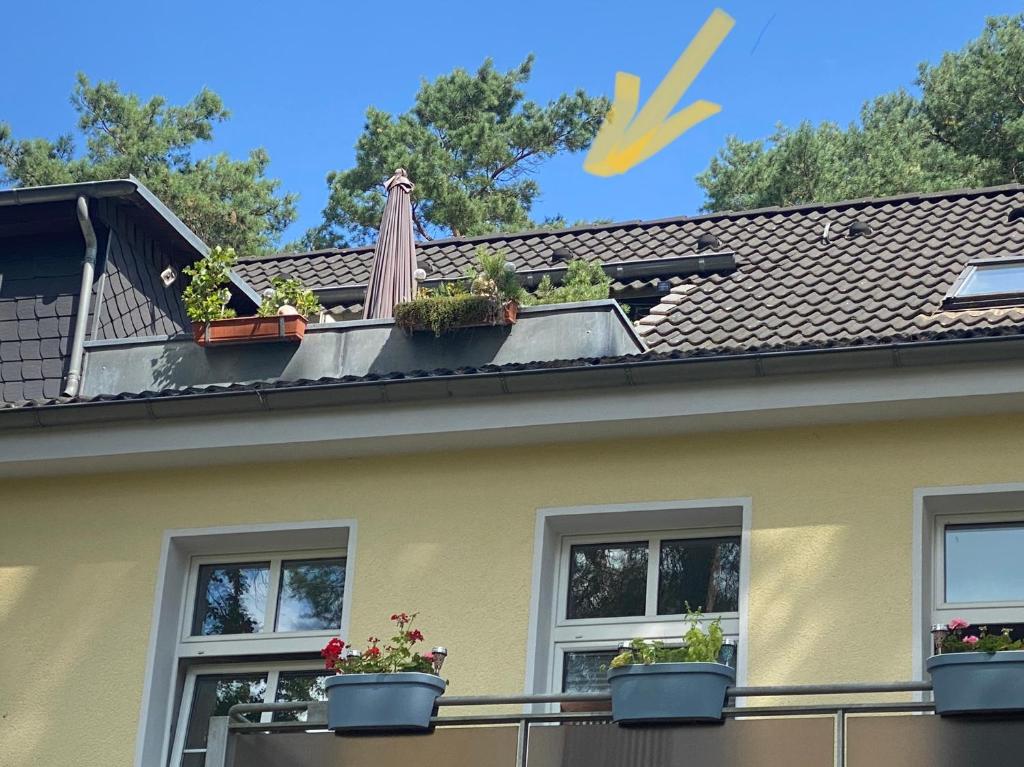 a house with potted plants on the roof at Ferienwohnung im Heidepark in Dessau