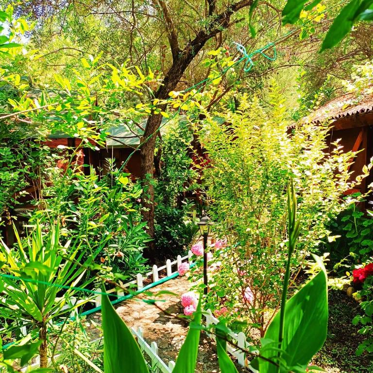 Canario Bungalows - 9