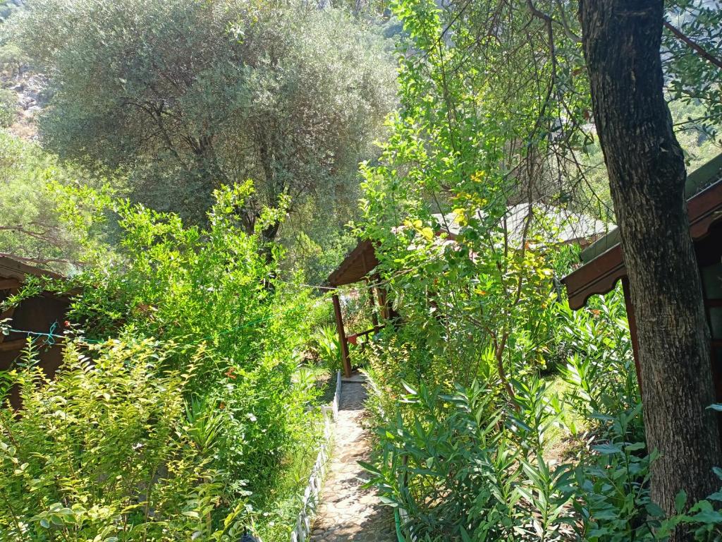 Canario Bungalows - 10