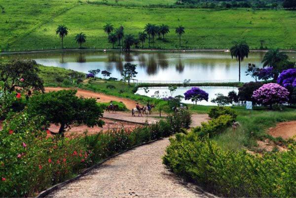 a lake with a couple of horses in front of it at Hotel Fazenda da Lagoa in Queluzita