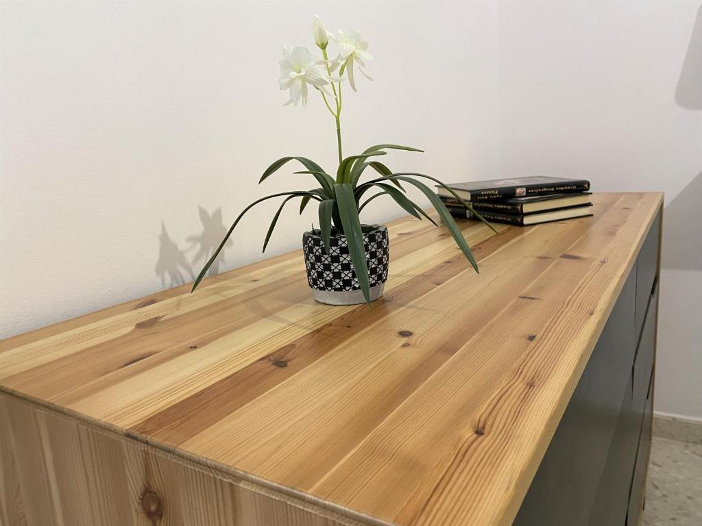 Fotografie z fotogalerie ubytování Apartamento entero a 10 minutos en coche de Sevilla Centro v destinaci Camas