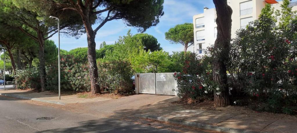 une rue avec des arbres et des buissons et un bâtiment dans l'établissement T 2 MOTTLAND 300 m Plage, à La Grande Motte