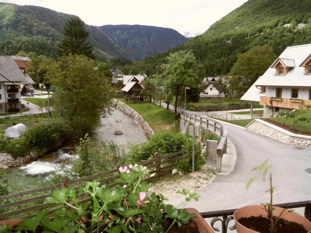 Příroda nedaleko hostelu