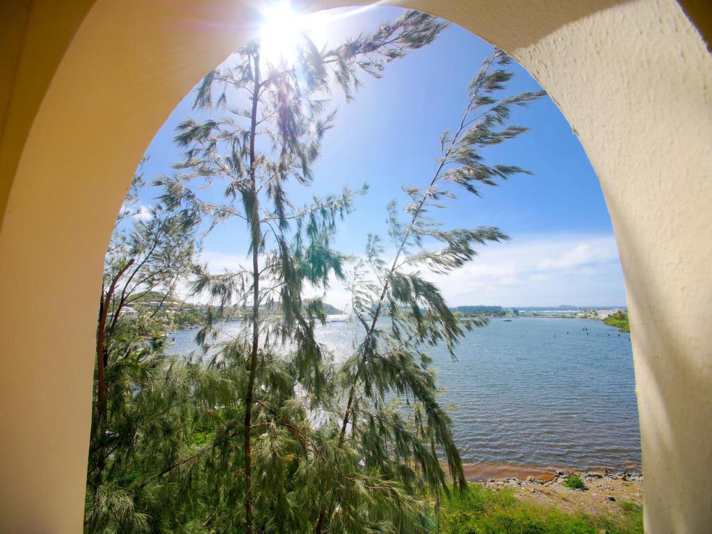 una ventana con vistas al agua y a un árbol en 2 Bedroom Apt with Breathtaking view en Oyster Pond