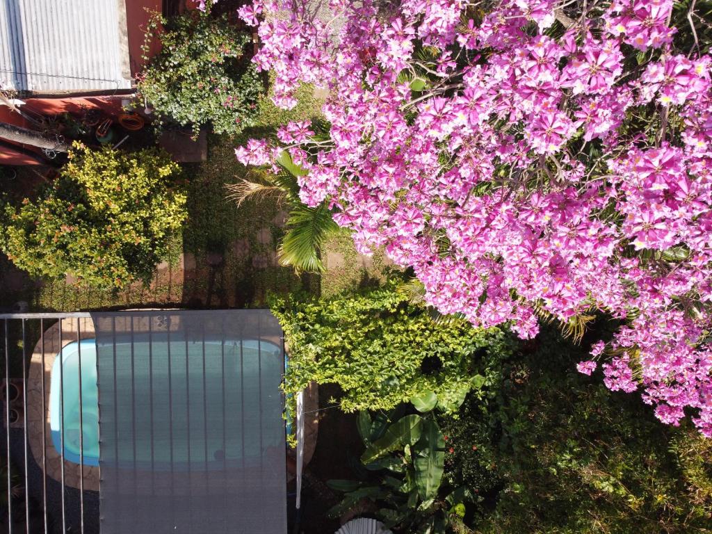 Zahrada ubytování Nomada Hostel